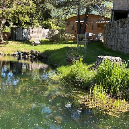 Chalet Grenouille Domaine De La Mamounette Champclause Εξωτερικό φωτογραφία