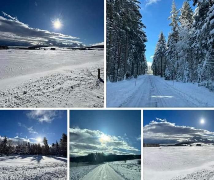 Chalet Grenouille Domaine De La Mamounette Champclause Εξωτερικό φωτογραφία