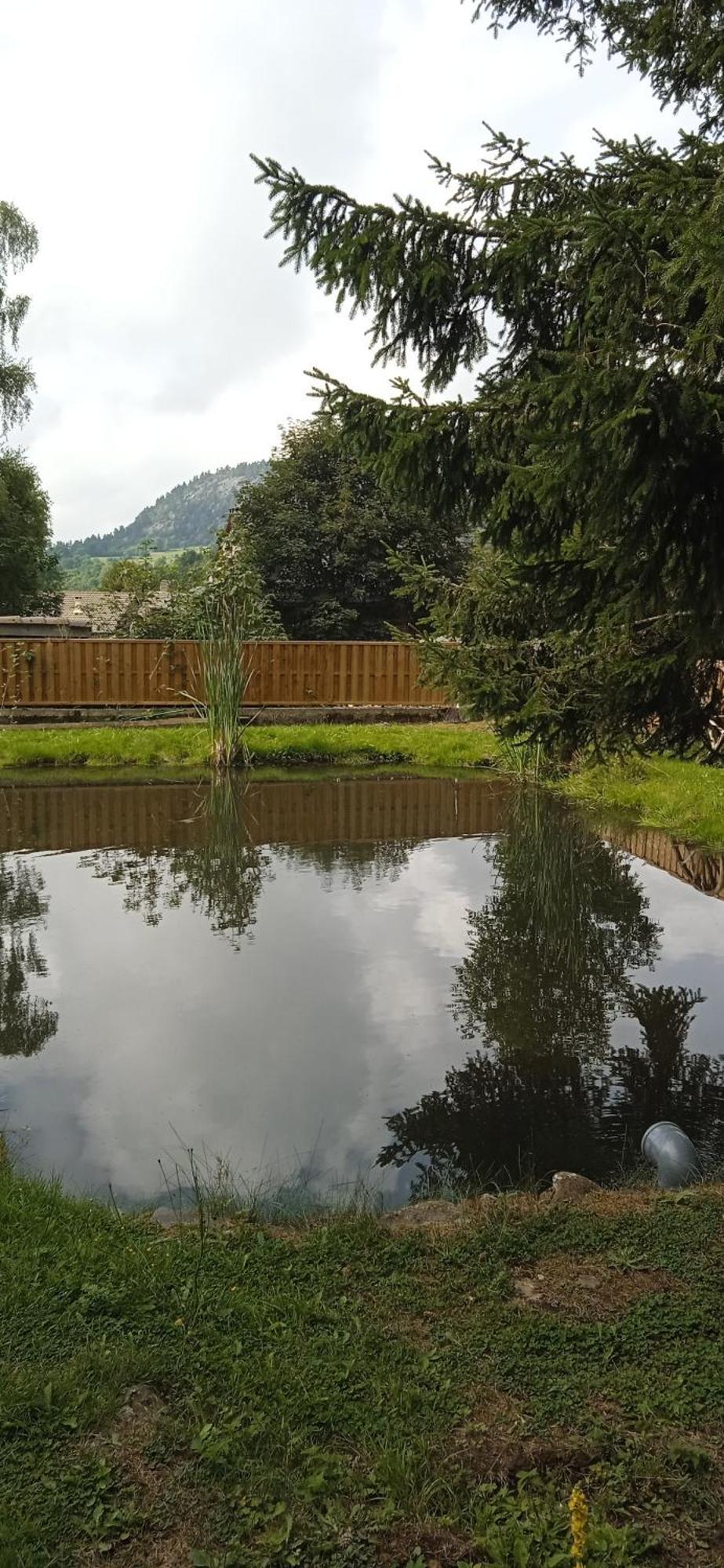 Chalet Grenouille Domaine De La Mamounette Champclause Εξωτερικό φωτογραφία
